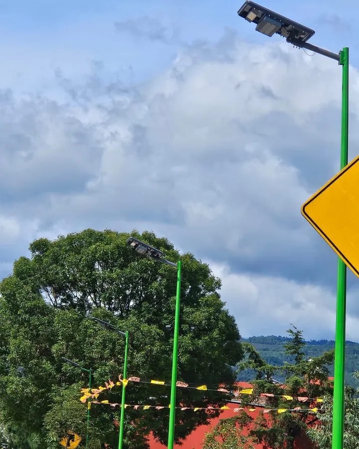 Postes verdes con luminarias solares junto a una calle, con árboles y un letrero amarillo